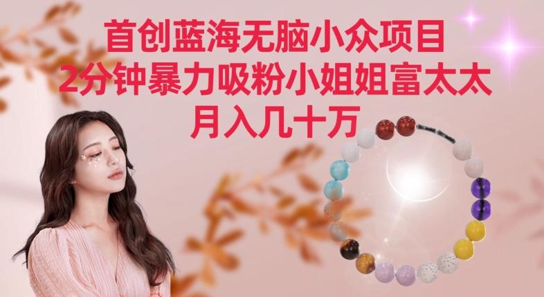 首创蓝海无脑小众项目,2分钟暴力吸粉小姐姐富太太,月入几十万【揭秘】-康仁安网创