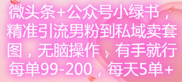 微头条+公众号小绿书,精准引流男粉到私域卖套图,无脑操作,有手就行,每单99-200,每天5单-康仁安网创