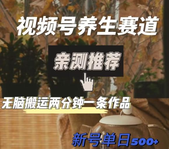 视频号养生赛道暴力掘金，无脑搬运，两分钟一条作品-新日单入500+-康仁安网创