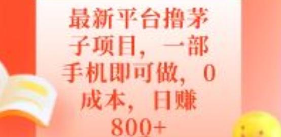 最新平台撸茅子项目，一部手机即可做，0成本，日赚800+-康仁安网创