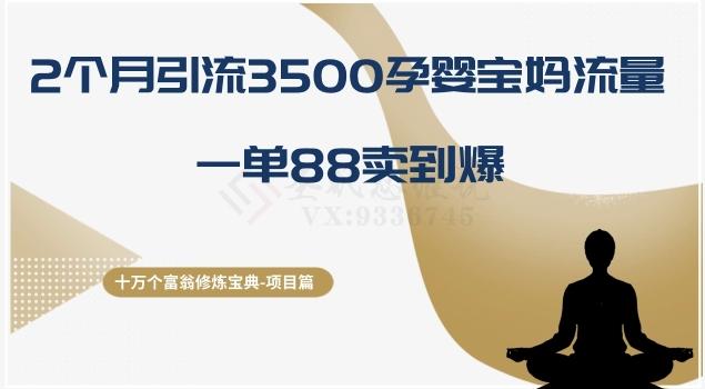 十万个富翁修炼宝典之13.2个月引流3500孕婴宝妈流量,一单88卖到爆-康仁安网创
