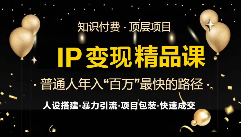 IP变现最新精品课程，知识付费全流程+最强引流术+小白避坑指南-康仁安网创
