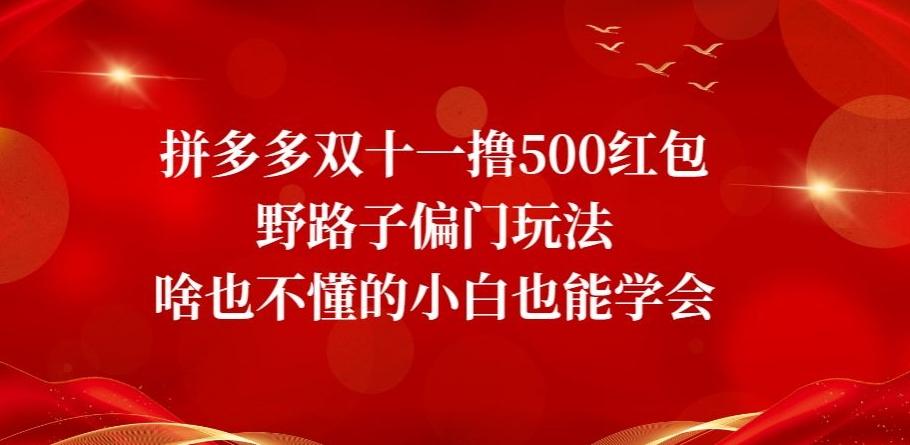 拼多多双十一撸500红包野路子偏门玩法，啥也不懂的小白也能学会【揭秘】-康仁安网创