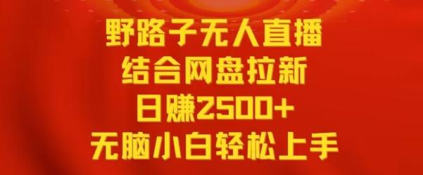 野路子无人直播结合网盘拉新，日赚2500+，小白无脑轻松上手【揭秘】-康仁安网创